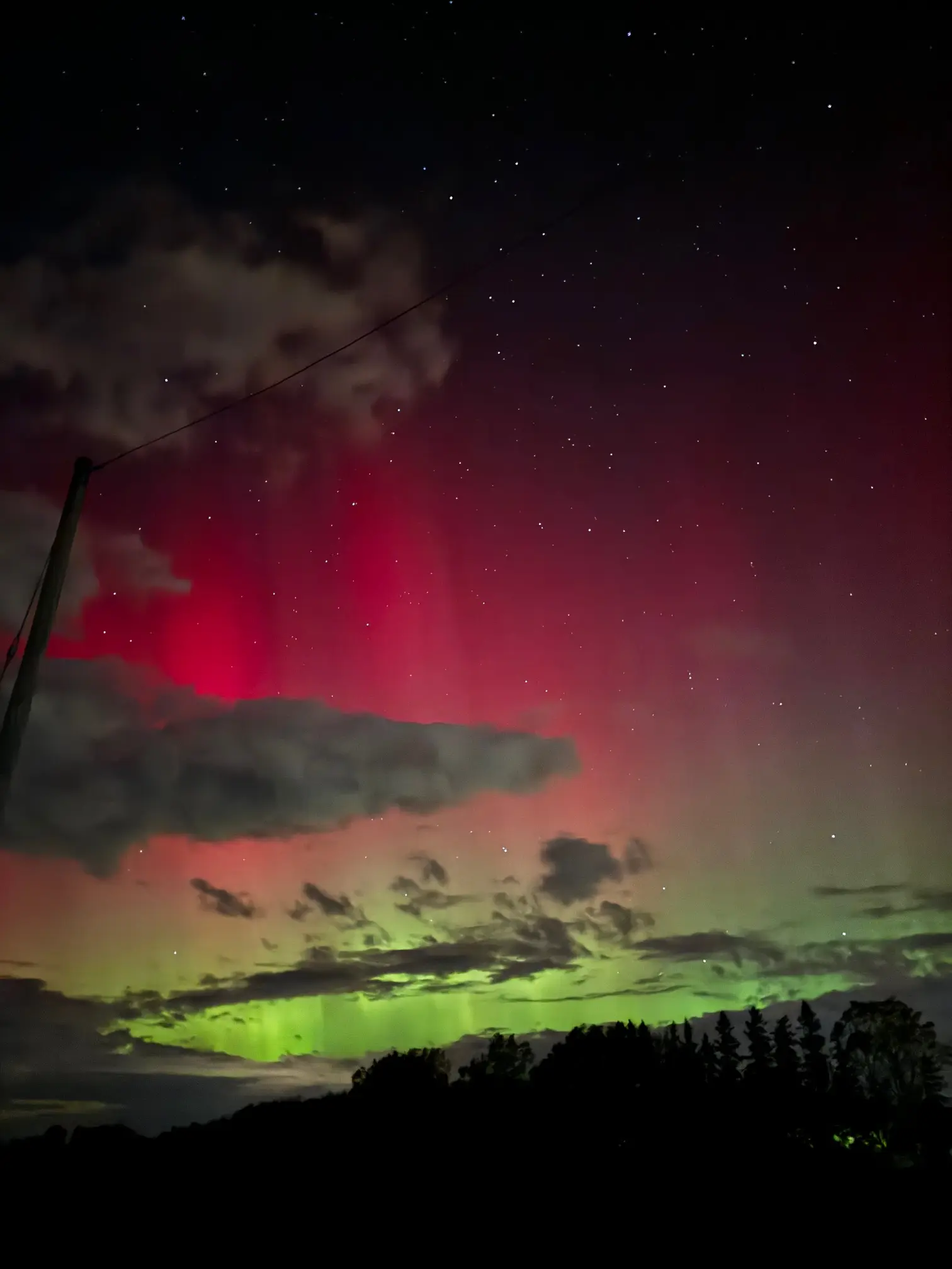 Aurora over the treeline