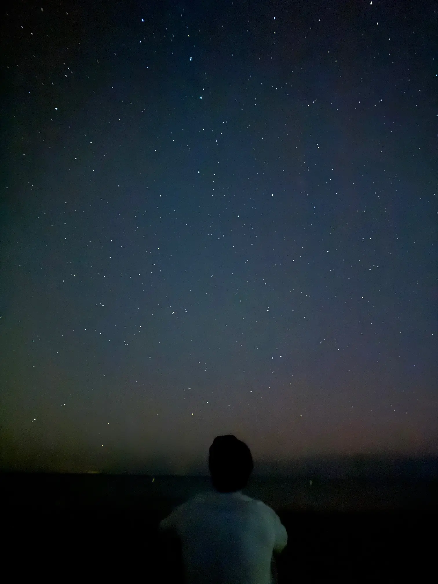 Night sky full of stars